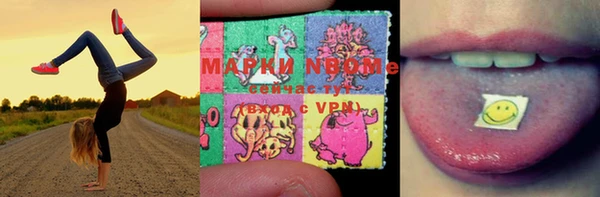 соль ск Тутаев