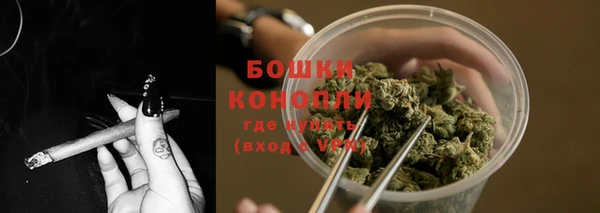 соль ск Тутаев