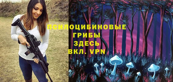 соль ск Тутаев