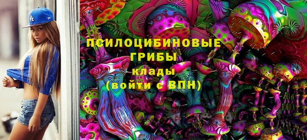соль ск Тутаев